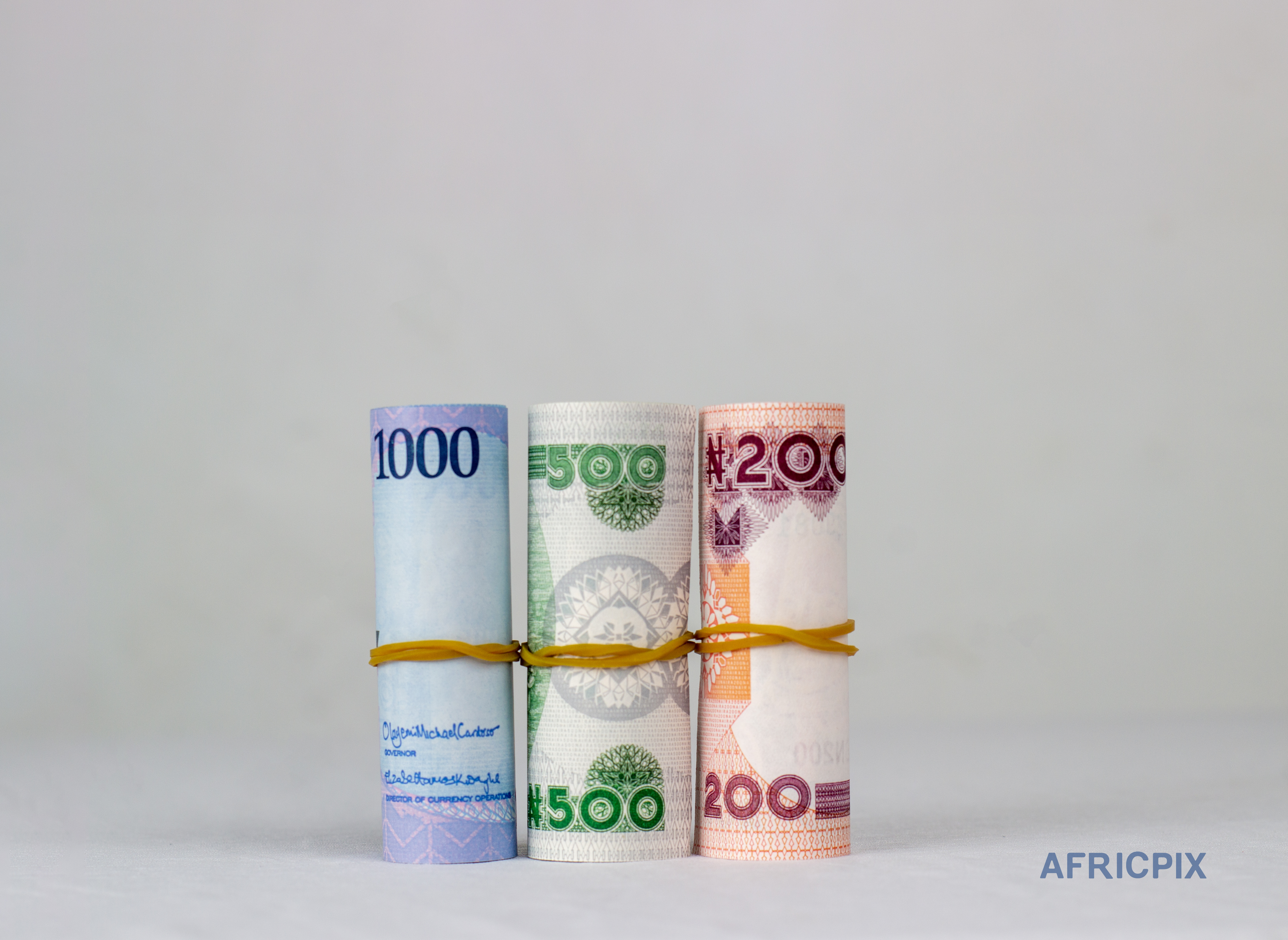 1000 500 100 Naira Note Money Side .jpg